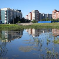 Городской пруд. :: Валентина Жукова