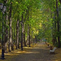 Осень пришла в Нескучный сад... :: Anatoly Lunov