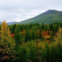 Осень на Колыме :: Андрей Франчковский