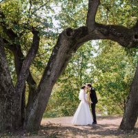 Wedding Photo :: Екатерина Умецкая