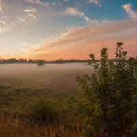 Утренний туман :: Николай Алехин