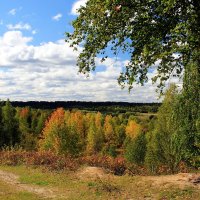 За городом. :: Галина Новинская