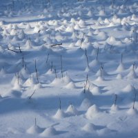 Зима :: Андрей Королев 