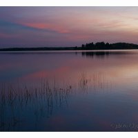 Закат на озере Кодосно, Псковская обл. :: Вера Ульянова