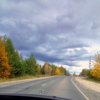 Дорога в осень :: Алла ZALLA