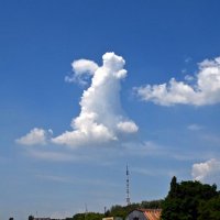 Шагающее облако :: Zhanna Yrkovskaua 