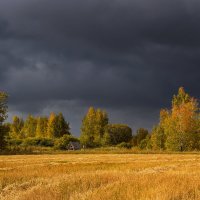 Дождливая осень. :: Kassen Kussulbaev