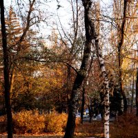 Отдохнуть в Осени :: Zhanna Yrkovskaua 