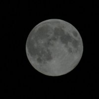 Луна :: Анастасия 