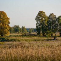 Мир живых и умирающих :: Александр 