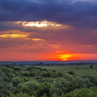 Продолжение другой сказочной серии :: Юрий Клишин