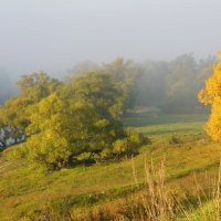 Осень....Туман... :: Галина Кучерина