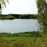 Озеро :: Наталья Солнышко