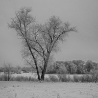 Зима :: Юрий Кулаков