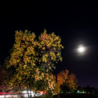Осень ночью :: Виктор Зенин