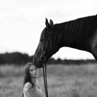Horse :: Alexander Deniskin
