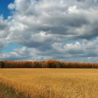 Осень золотая :: Виктор Четошников