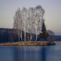 Островок на озере :: Андрей 