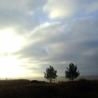 Край утреннего тумана :: Николай Туркин 