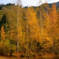 Осень в горах II :: Alexei Kopeliovich