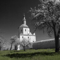 Цветущий сад возле Свенского монастыря :: Евгений Дубовцев