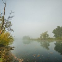 Осенний туман. :: Борис Кононов