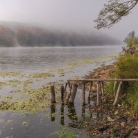 Мостик у реки! :: Борис Кононов