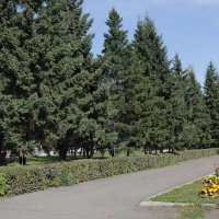 Бийск. Бульвар Петра Первого. :: Олег Афанасьевич Сергеев