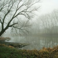 Туман над рекой. :: геннадий 