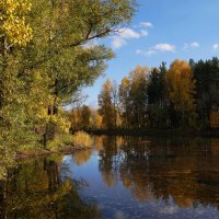 Лесной пруд :: Наталия Григорьева