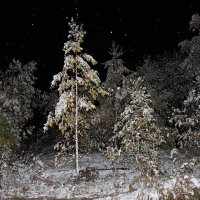 Осенний снег-3. :: Наталья Юрова
