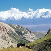 Киргизия. :: Андрей Смирнов