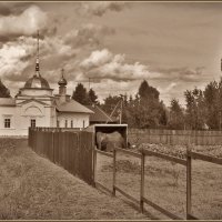 русский север, Сяма :: Дмитрий Анцыферов