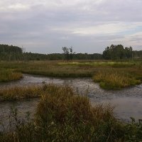 р.Каменка :: Александр 