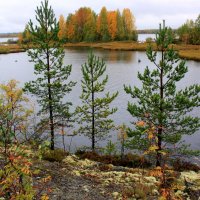 СЕНТЯБРЬ В КАРЕЛИИ :: Николай Гренков