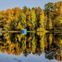 Autumn on the pond :: Dmitry Ozersky