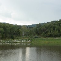 Еландинское озеро :: Светлана 