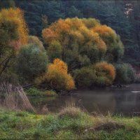 Река и осень :: Сергей Шабуневич