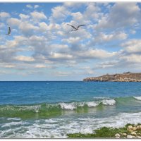 Море и чайки :: Эля Юрасова
