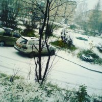 снег :: Анна Мельхерт 