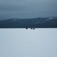 зимой можно и на санях по озеру кататься :: Анна Ковалёва