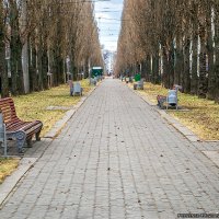 Бульвар Тараса Шевченка :: Богдан Петренко