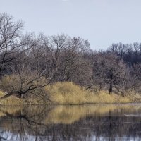 На озере :: Георгий Морозов