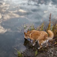 Выпить небо :: Елена Ел