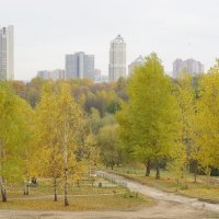 Осенняя Москва.Парк. :: Александр Атаулин