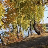 Осень на озере :: Тыртышных Светлана 