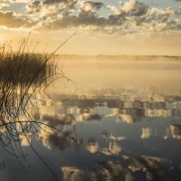 Утро на озере :: Александр Глазков