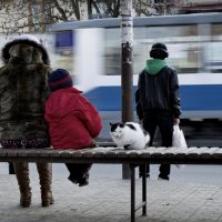 похолодало :: Андрей Р. 