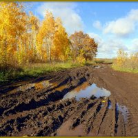 Хляби осенние :: Андрей Заломленков