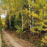 И снова осень листопадной грустью... :: Лесо-Вед (Баранов)